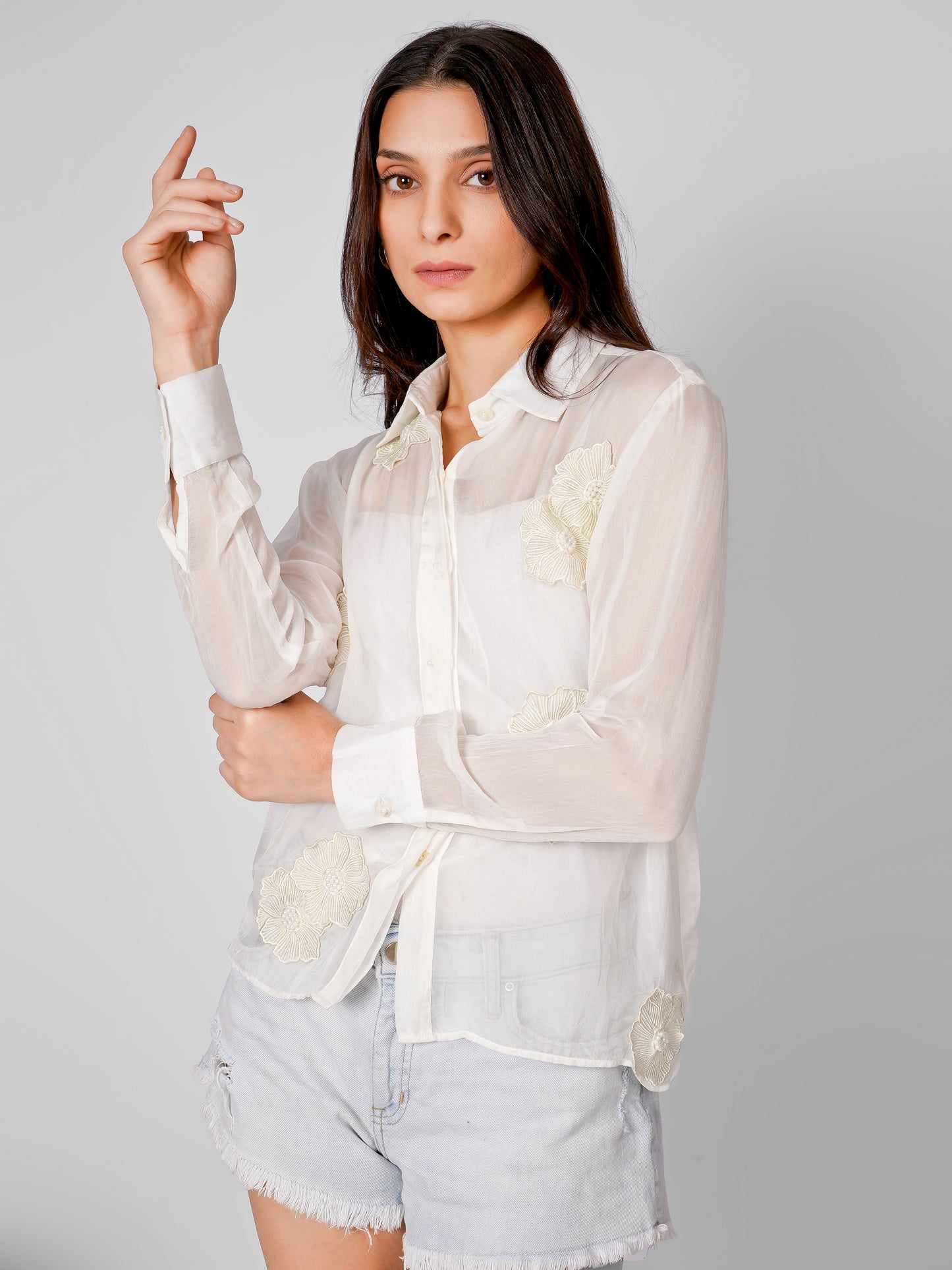 White Sheer Apliqued work Organza Shirt