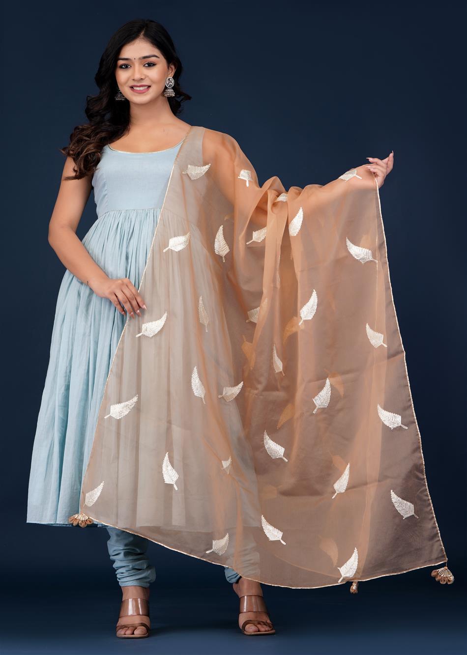 Beige Organza Printed Dupatta